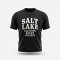 salt lake